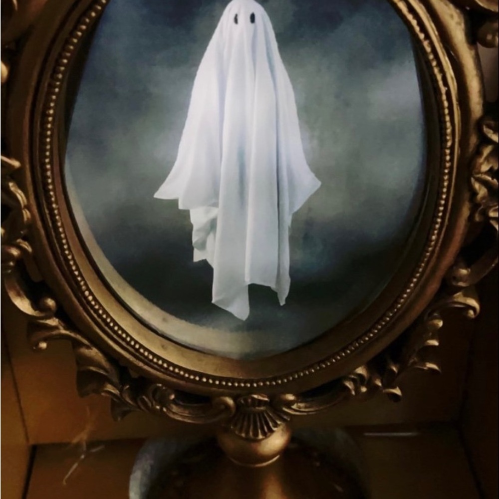 Ghost Mirror NEW VIRAL by CHRISTIAN SIRIANO  New York LED Lighted Halloween